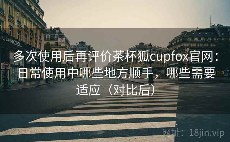 多次使用后再评价茶杯狐cupfox官网：日常使用中哪些地方顺手，哪些需要适应（对比后）