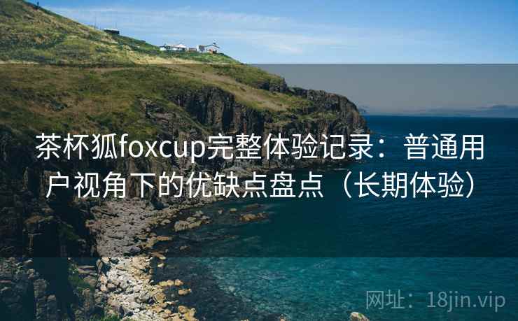 茶杯狐foxcup完整体验记录：普通用户视角下的优缺点盘点（长期体验）