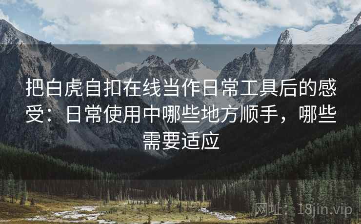 把白虎自扣在线当作日常工具后的感受：日常使用中哪些地方顺手，哪些需要适应