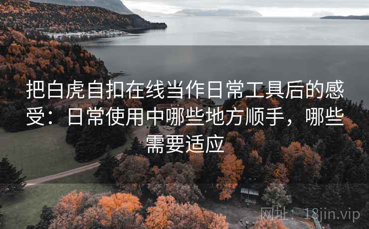 把白虎自扣在线当作日常工具后的感受：日常使用中哪些地方顺手，哪些需要适应